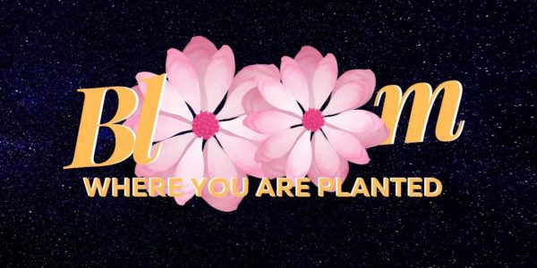 Bloom Where You Are Planted